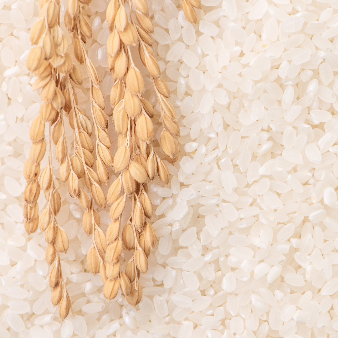 Rice & Grains