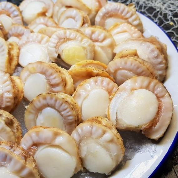 Ajinokakunoya Boiled Scallops