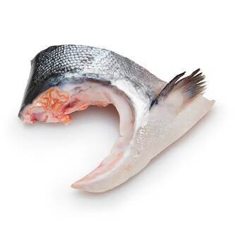 Salmon Collar (Kama)