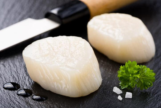 Scallop for Sashimi (Japan)