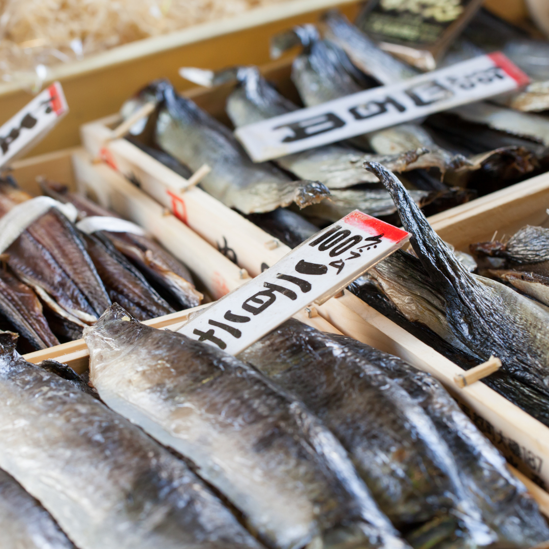 Fish