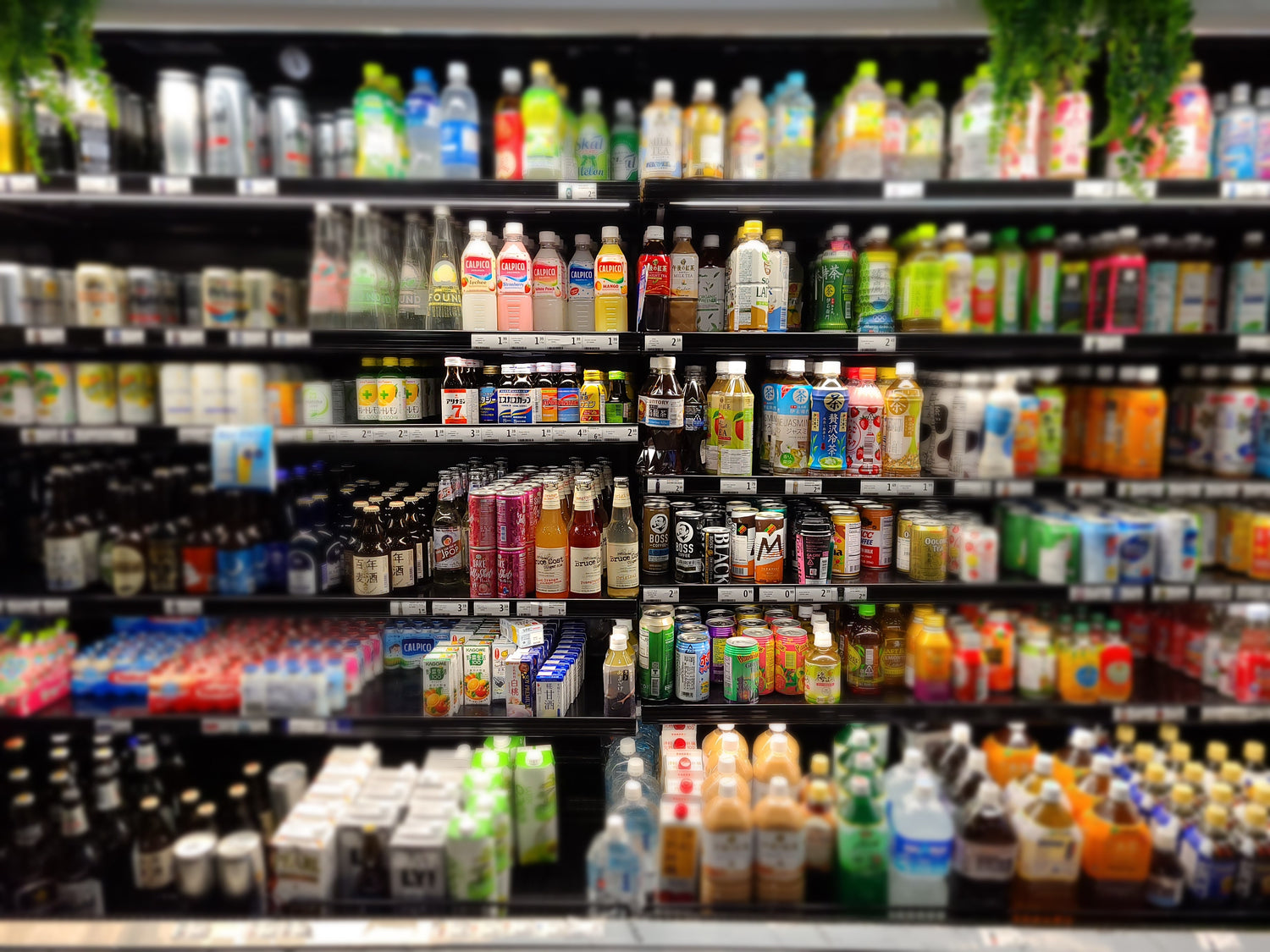 Soft Drinks