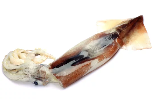 Whole Squid (Surume Ika)