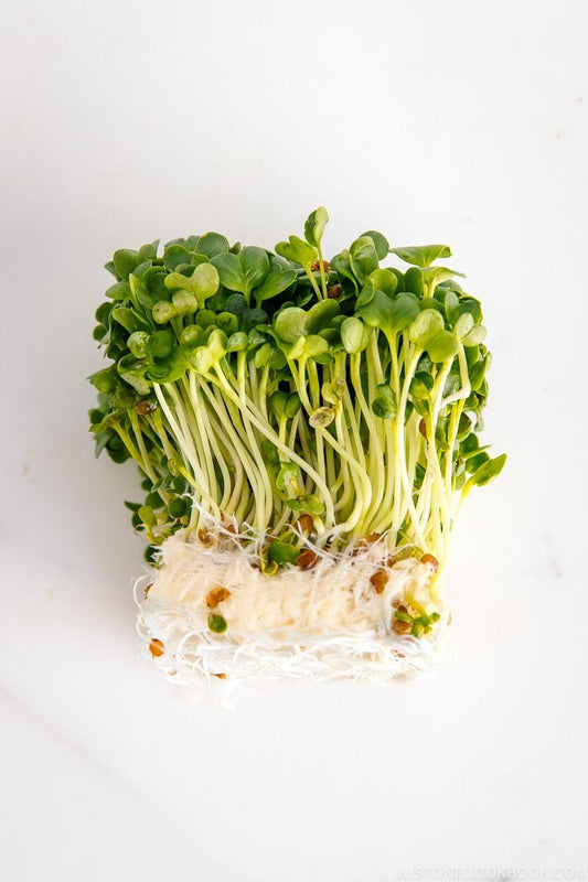 Kaiware Sprouts